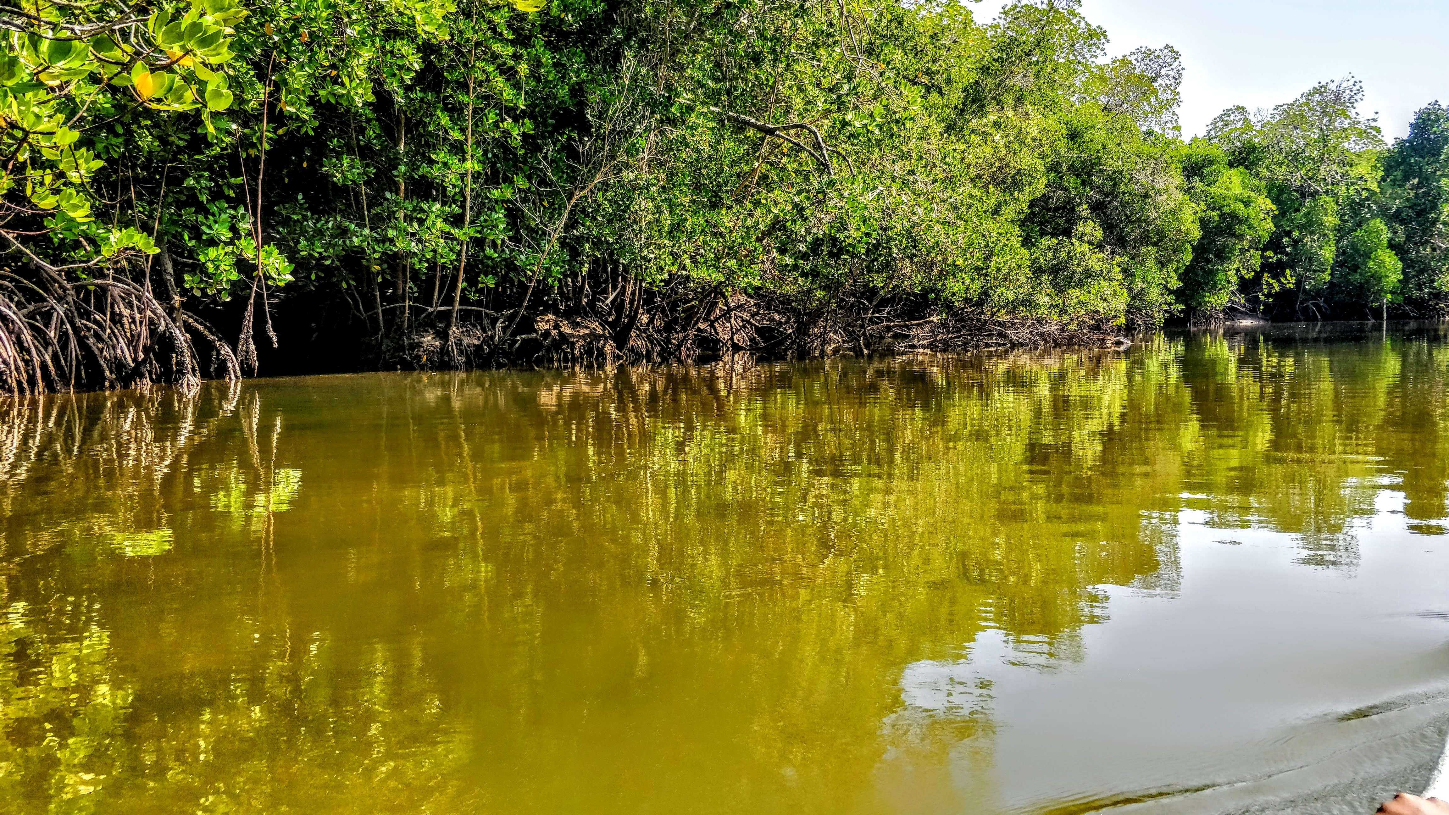 Da Mombasa, Parco Marino di Watamu ed Escursione all'Isola di Sudi - Hizvo