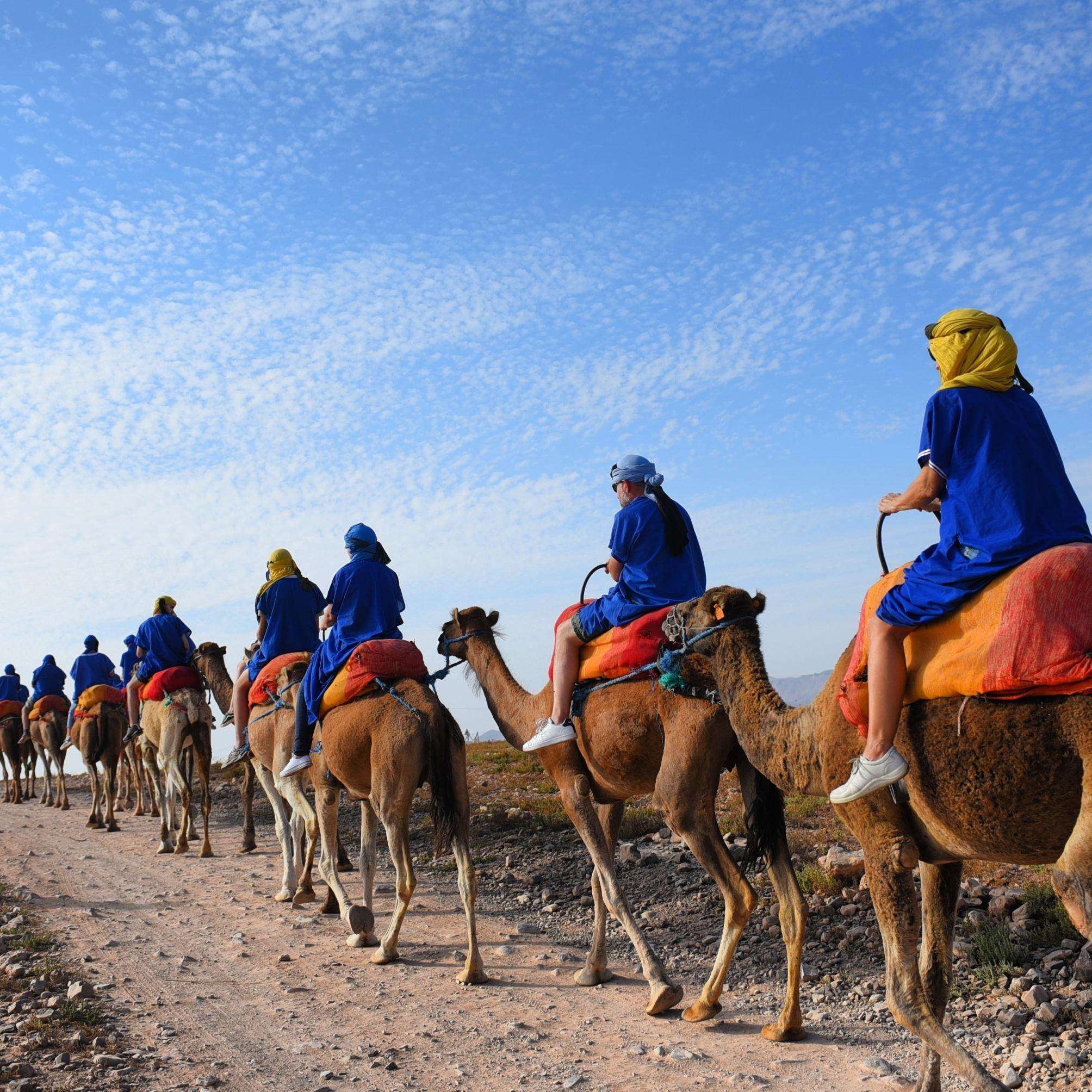 Marrakech, quad e giro in cammello a Marrakech - Hizvo