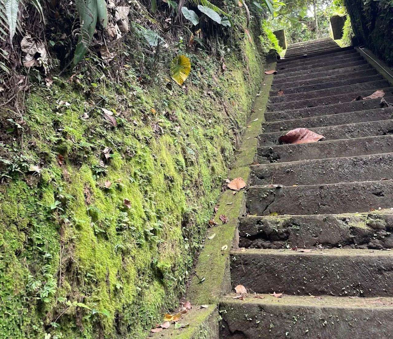 Bali, esperienza di guarigione spirituale di Melukat - Hizvo