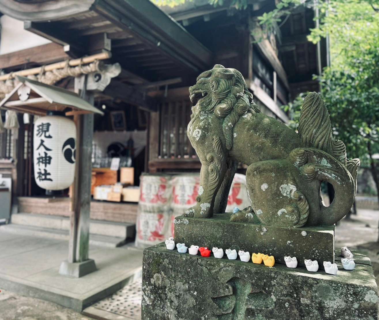 Visite personnalisée de la culture japonaise à Fukuoka - Hizvo