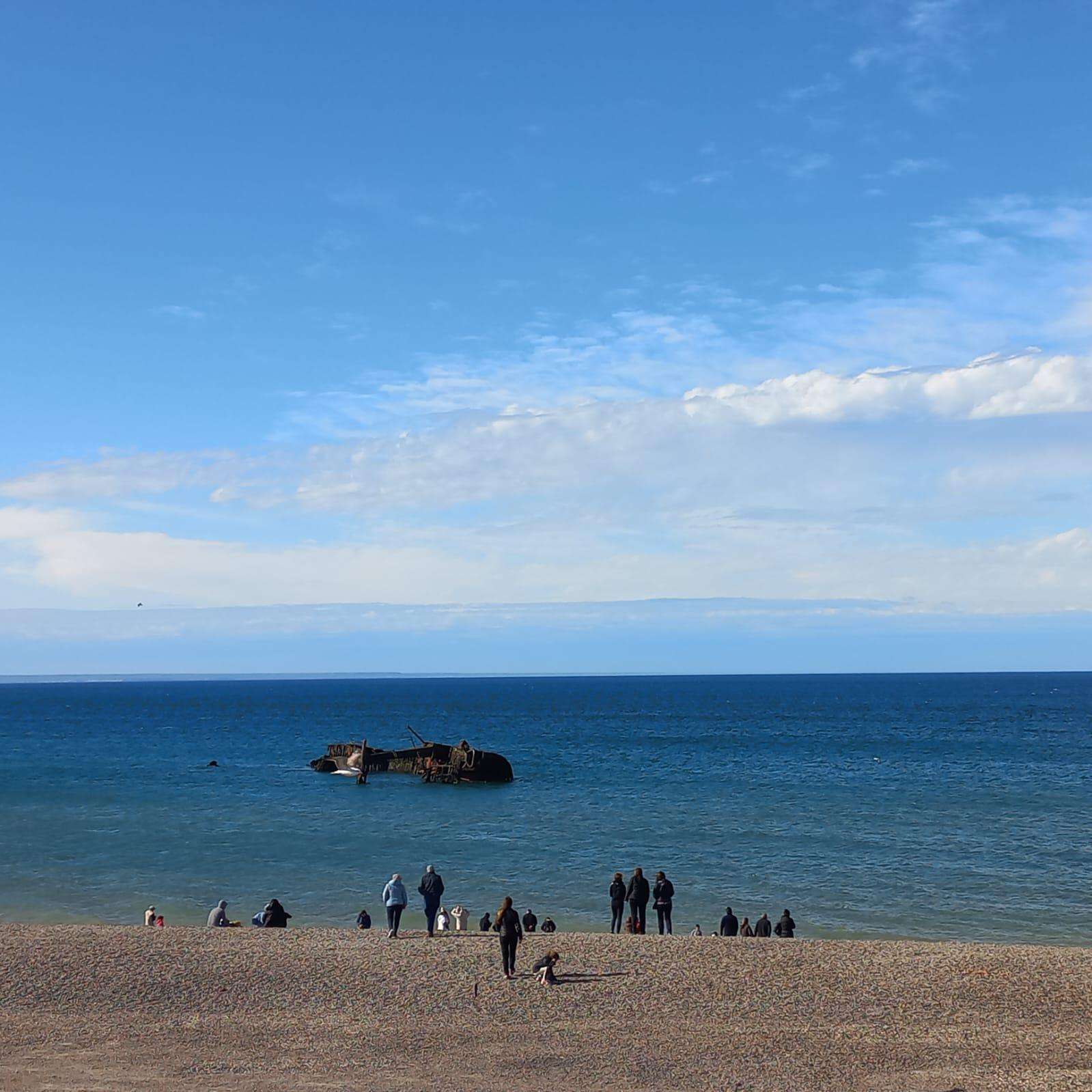 Puerto Madryn en 4 Horas, City Tour y Circuito Sur con Picnic - Hizvo