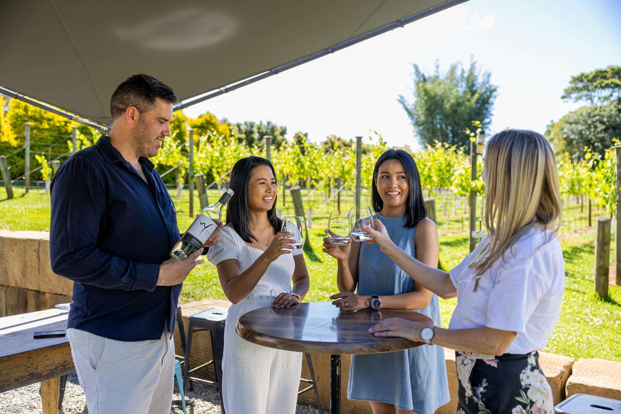 Brisbane, tour di degustazione di vini hop on hop off del Monte Tamborine - Hizvo