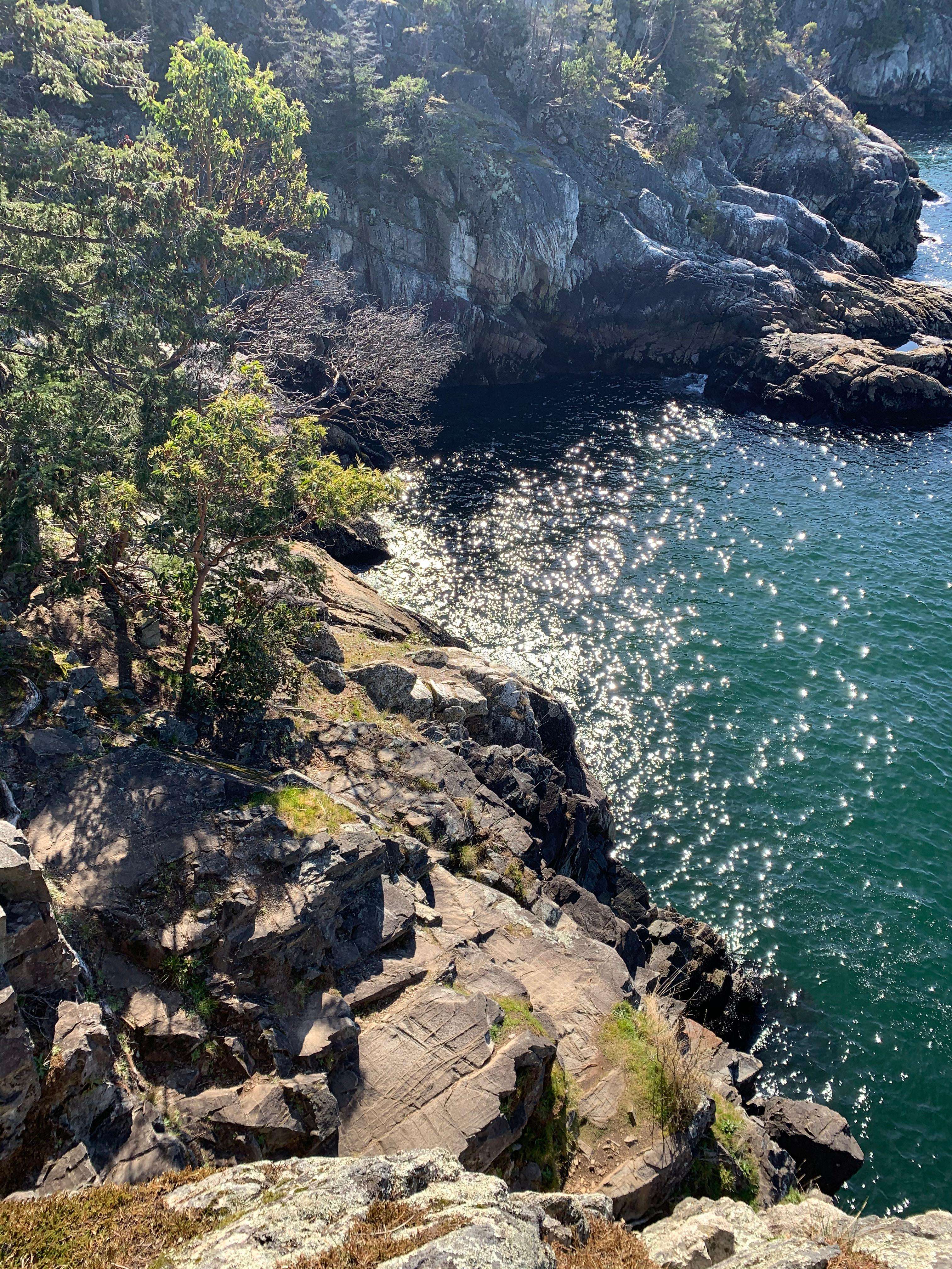Vancouver, Lighthouse Park Hike - Hizvo