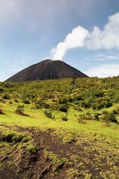 Depuis Antigua, randonnée d'une journée sur le volcan Pacaya - Hizvo