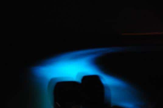 Jamaica, bioluminescente lagune-boottocht met transfers - Hizvo