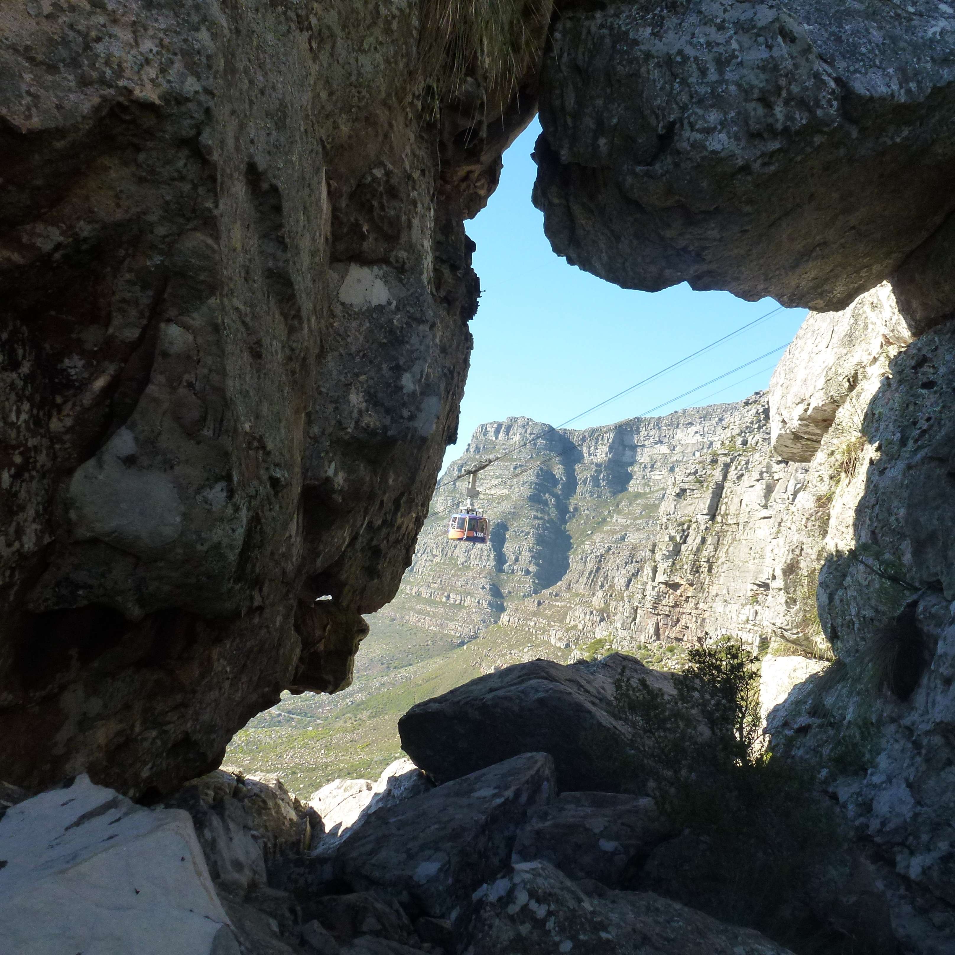 Kapstadt, Indien Halbtägige Venster-Wanderung auf dem Tafelberg - Hizvo