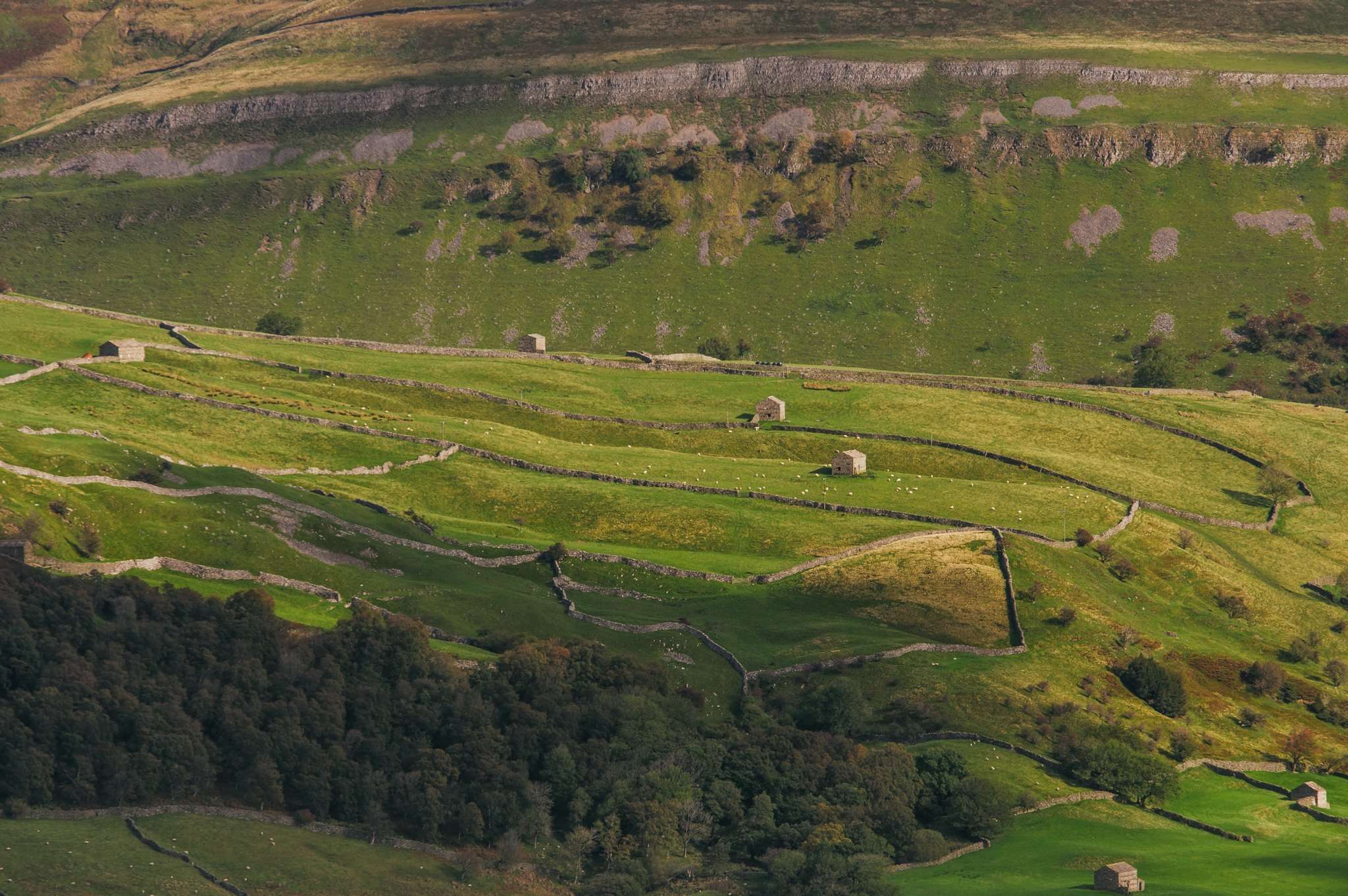 Desde Lake District, tour de día completo por los valles de Yorkshire - Hizvo
