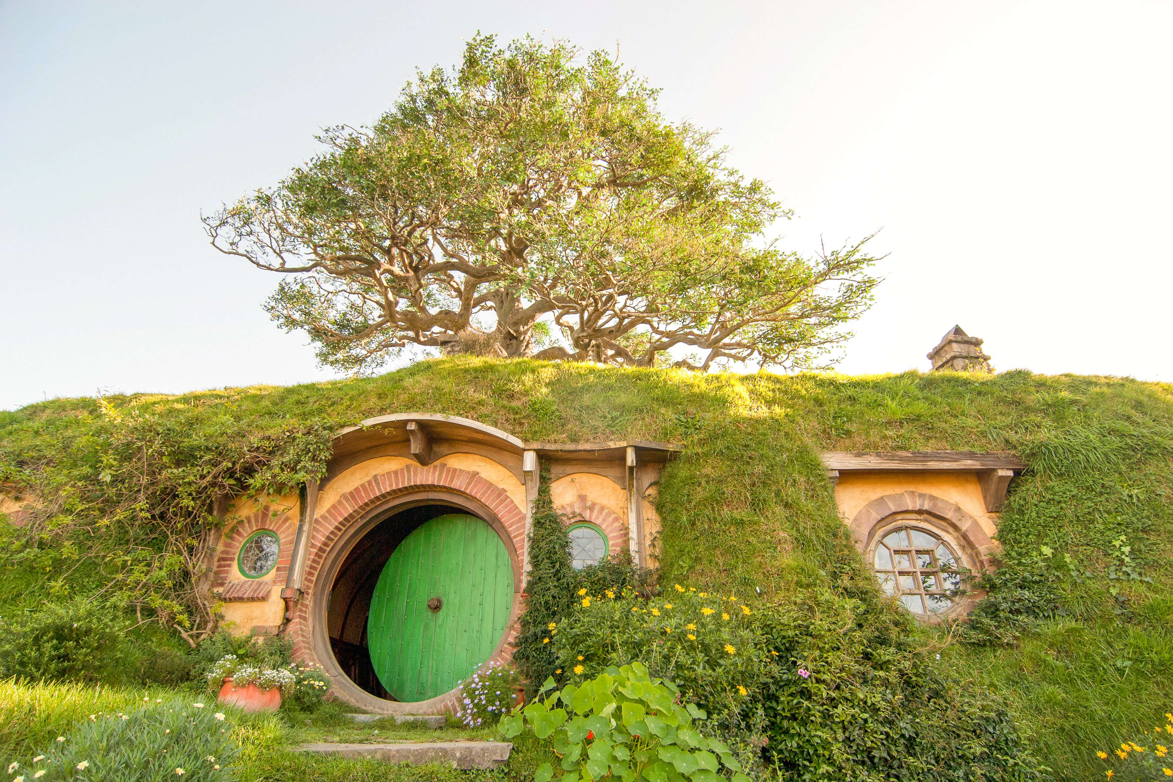 Auckland, tour del set cinematografico di Hobbiton con pranzo - Hizvo