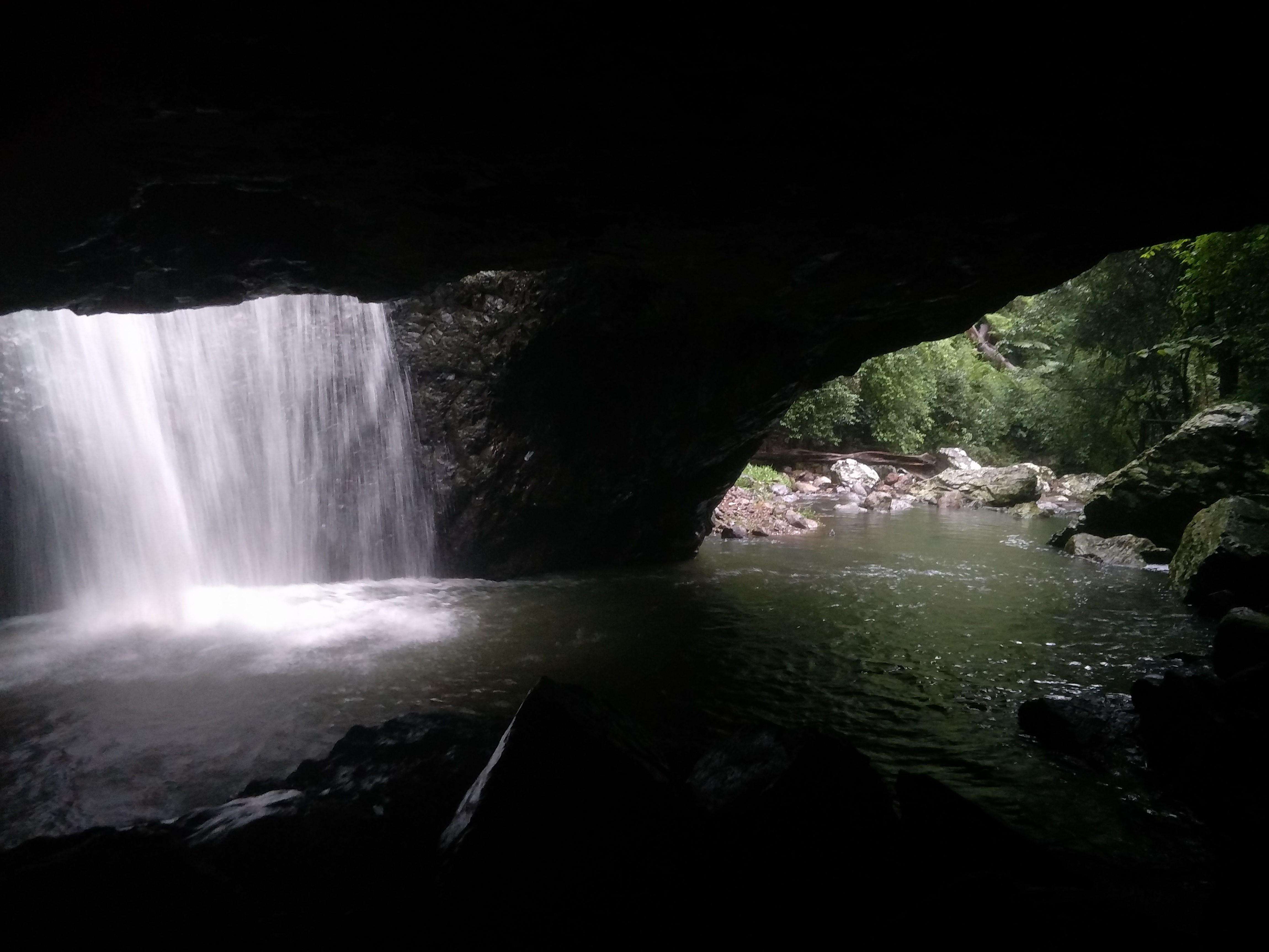 Esperienza sulla Gold Coast, sui canguri, sulla foresta pluviale e sulle cascate - Hizvo