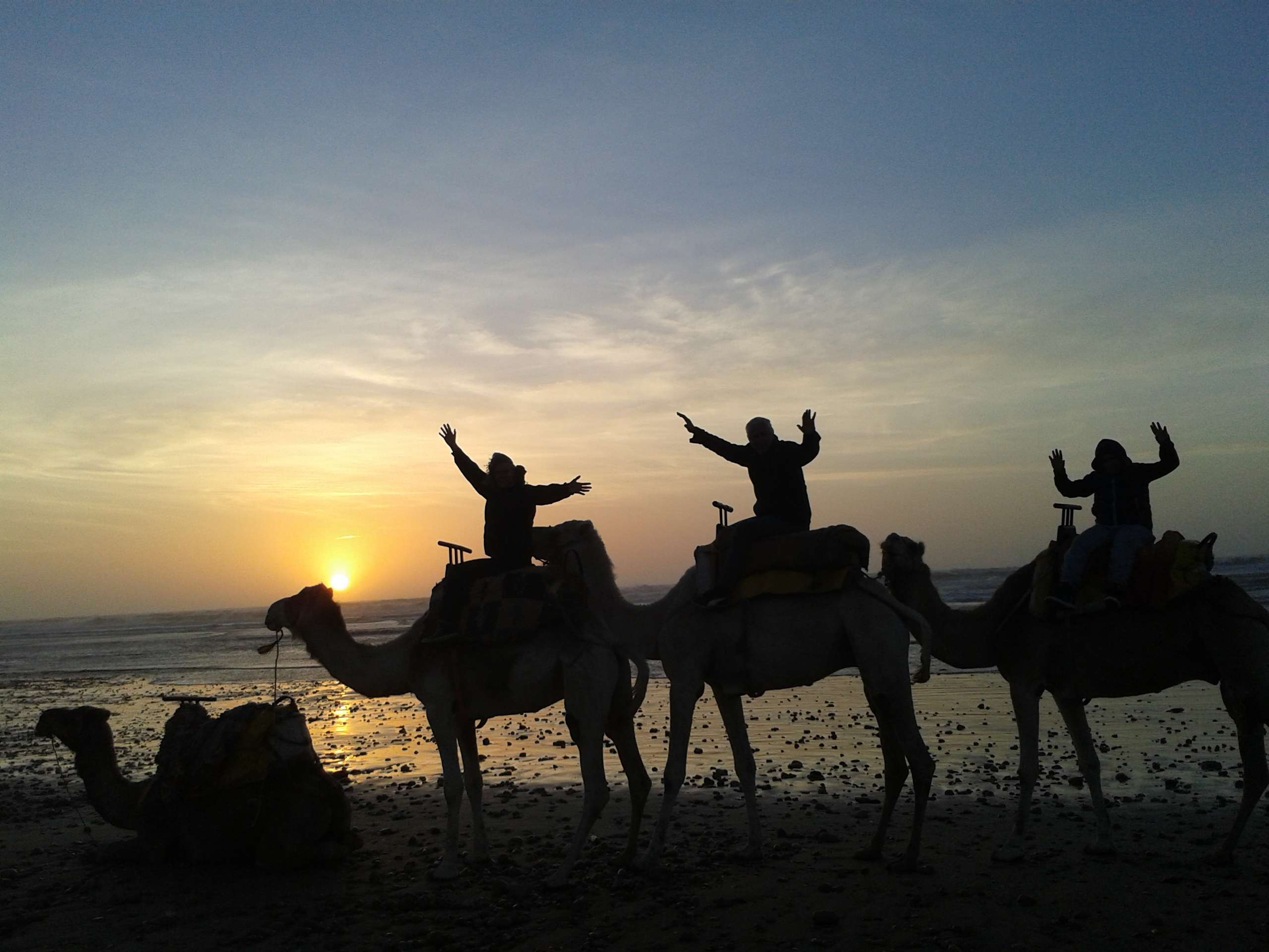 Essaouira, einstündiger Dromedarritt - Hizvo