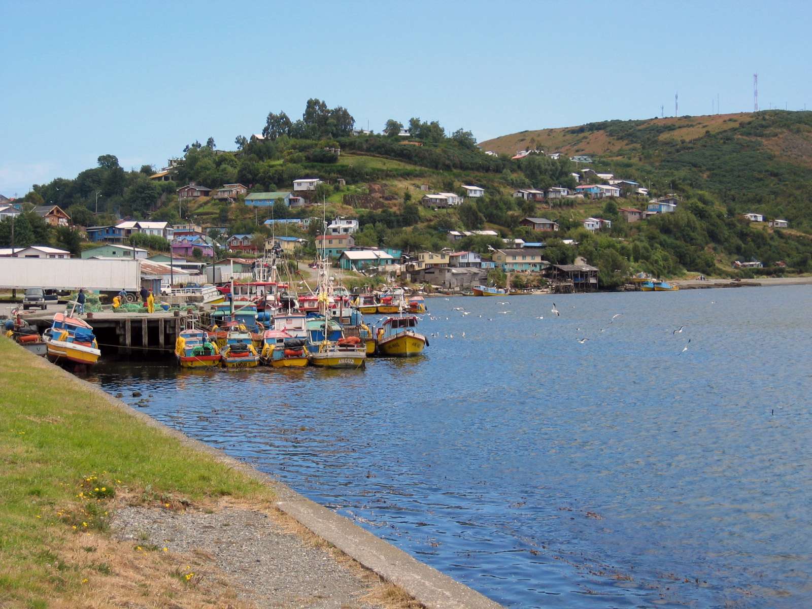 Puerto Varas, visite d'une journée complète sur l'île de Chiloé, Castro et Dalcahue - Hizvo