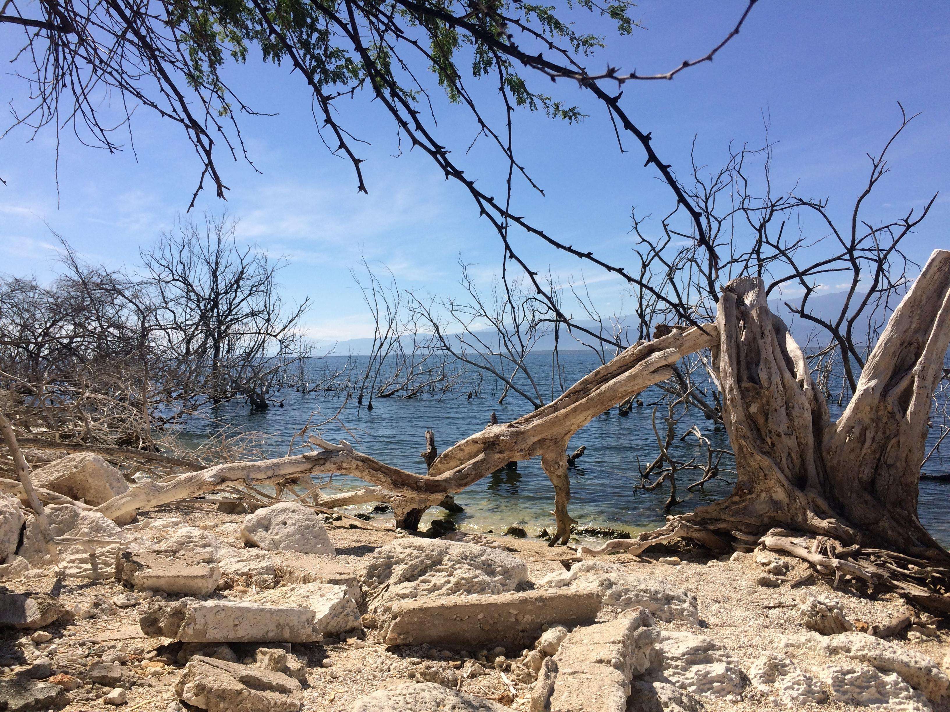 巴拉奥纳 (Barahona)、恩里基约湖 (Lake Enriquillo) 和拉斯玛丽亚斯 (Las Marias) 春季探索之旅 - Hizvo