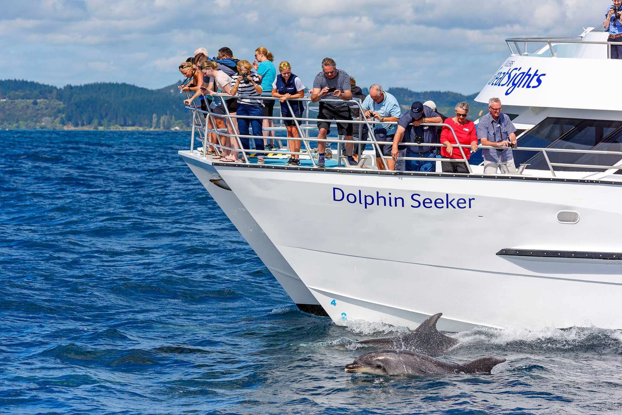 Paihia/Russell, Hole in the Rock, croisière avec les dauphins et l'île - Hizvo