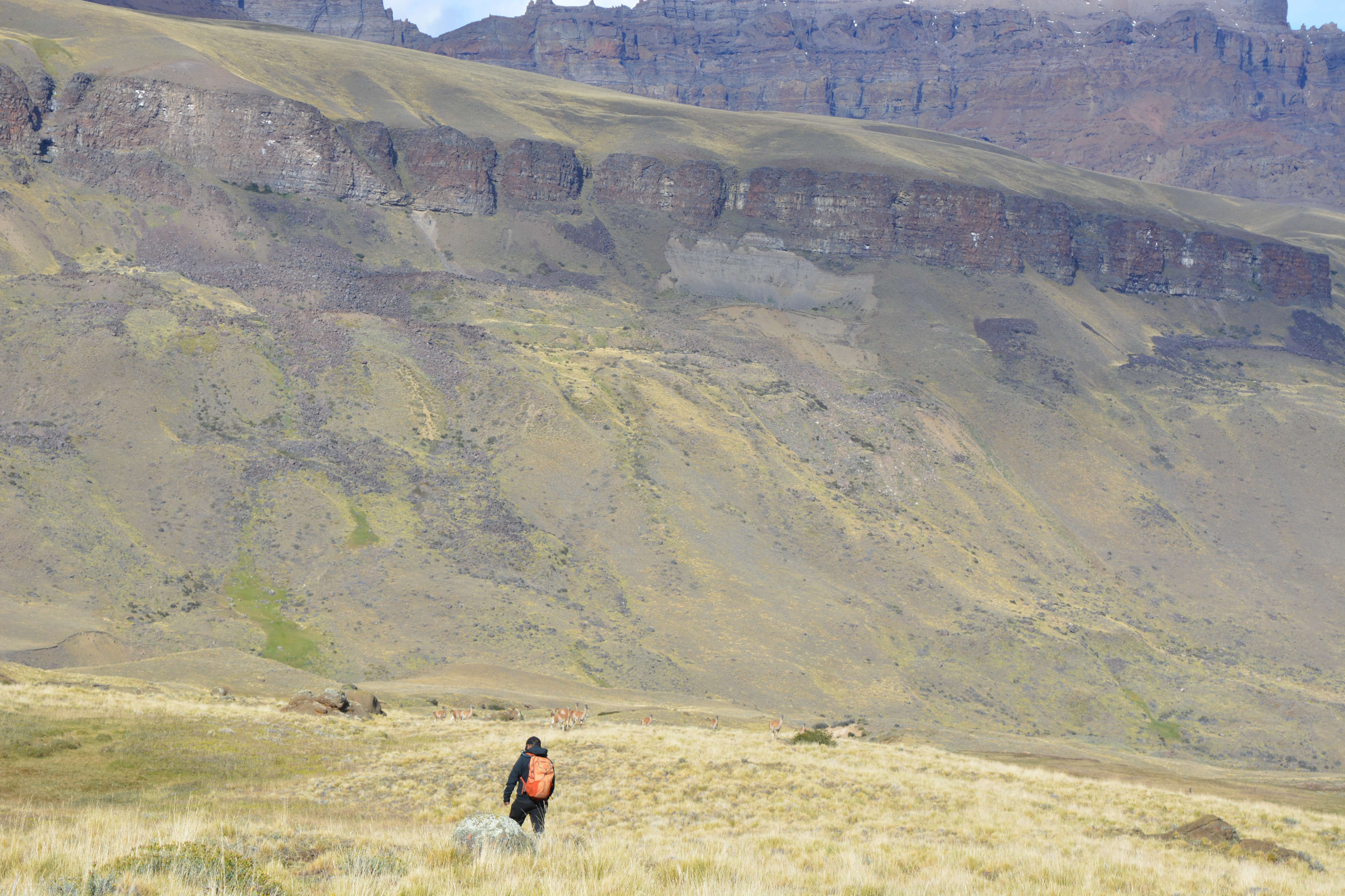 Depuis Puerto Natales, randonnée sur la route des fossiles de la Sierra Baguales - Hizvo