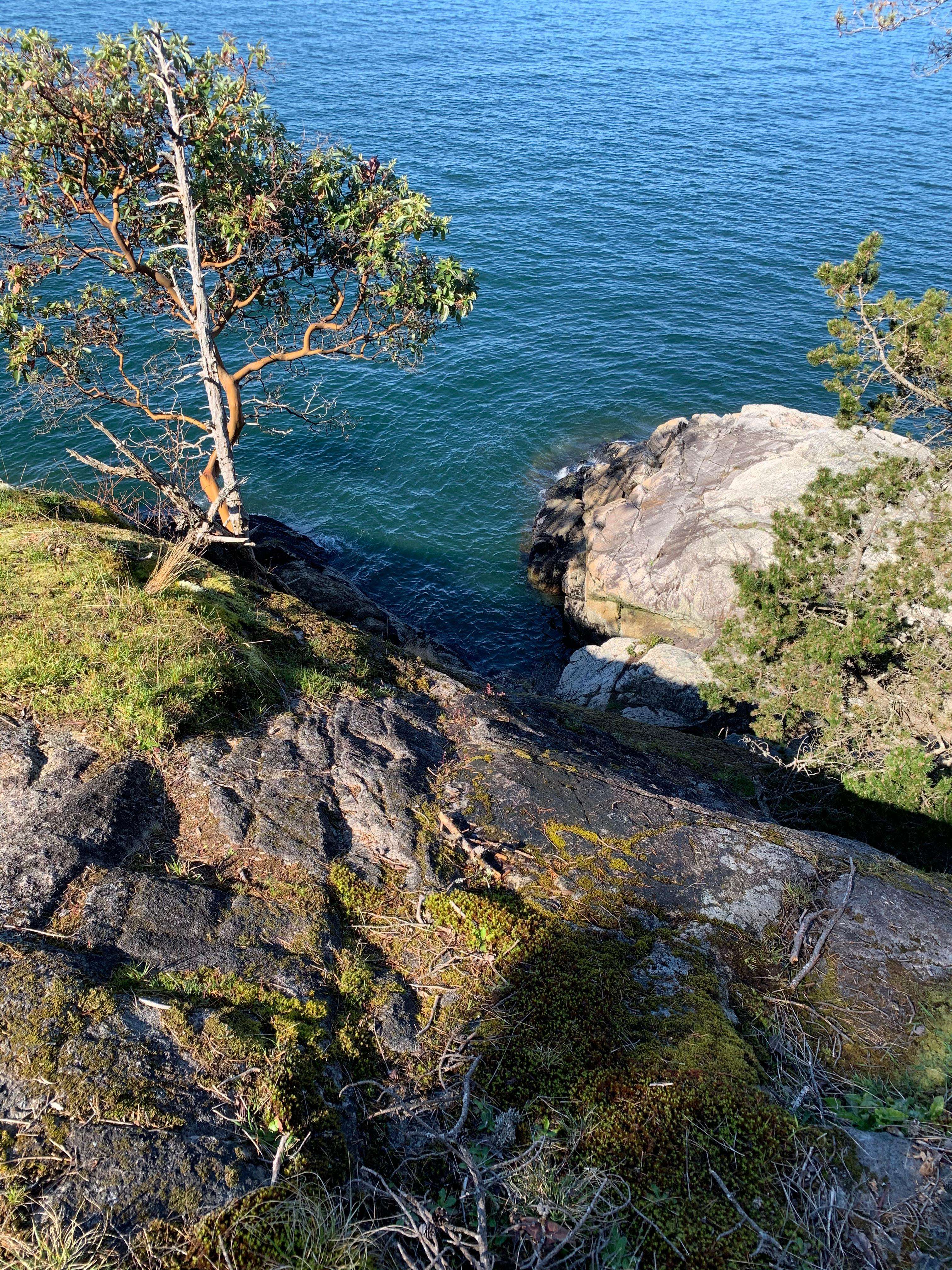 Vancouver, Lighthouse Park Hike - Hizvo