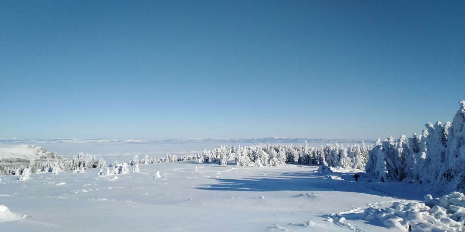 Eendaagse wandeling met sneeuwschoenen op Vitosha - Hizvo