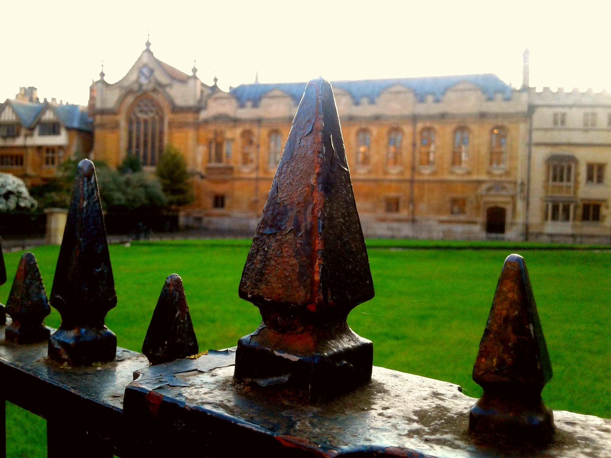 Oxford, Harry Potter Insights Divinity School Group Tour - Hizvo