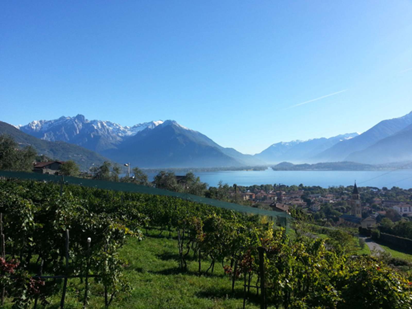 Comer See, Weinguttour mit Weinprobe - Hizvo