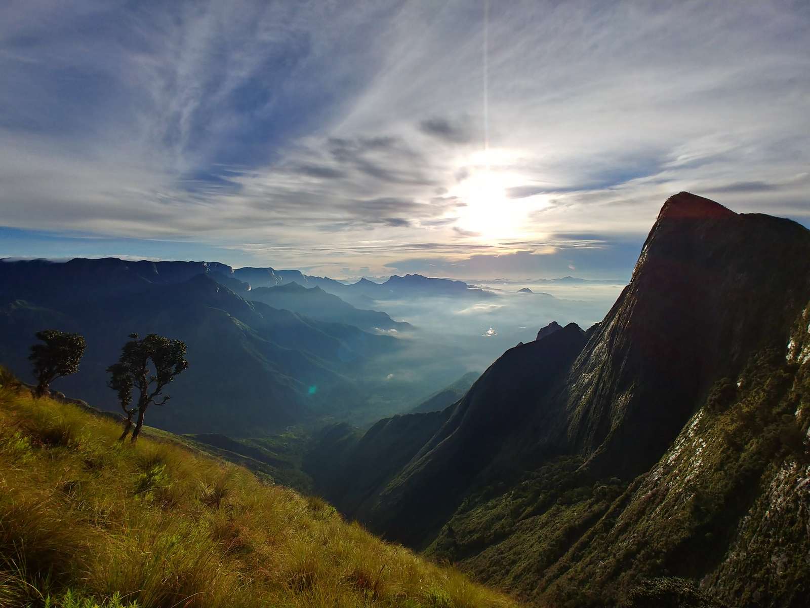 Excursión privada de un día a Munnar - Hizvo