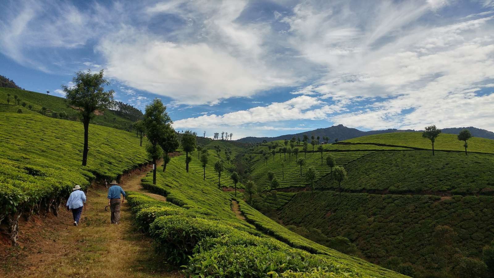 Excursión privada de un día a Munnar - Hizvo