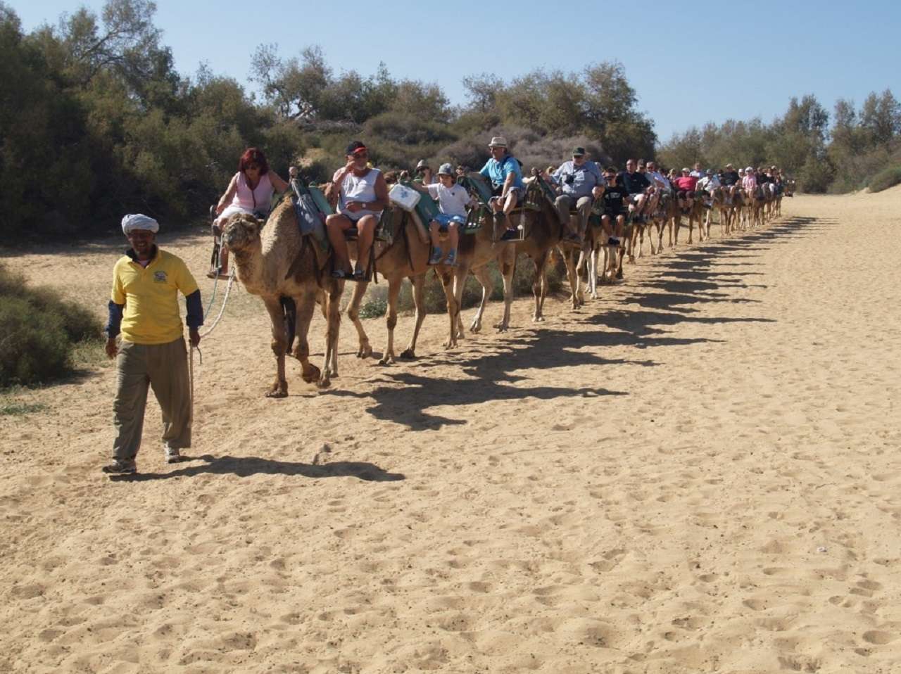 Tour della città in e-Scooter + giro in cammello all'interno delle dune di Maspalomas - Hizvo