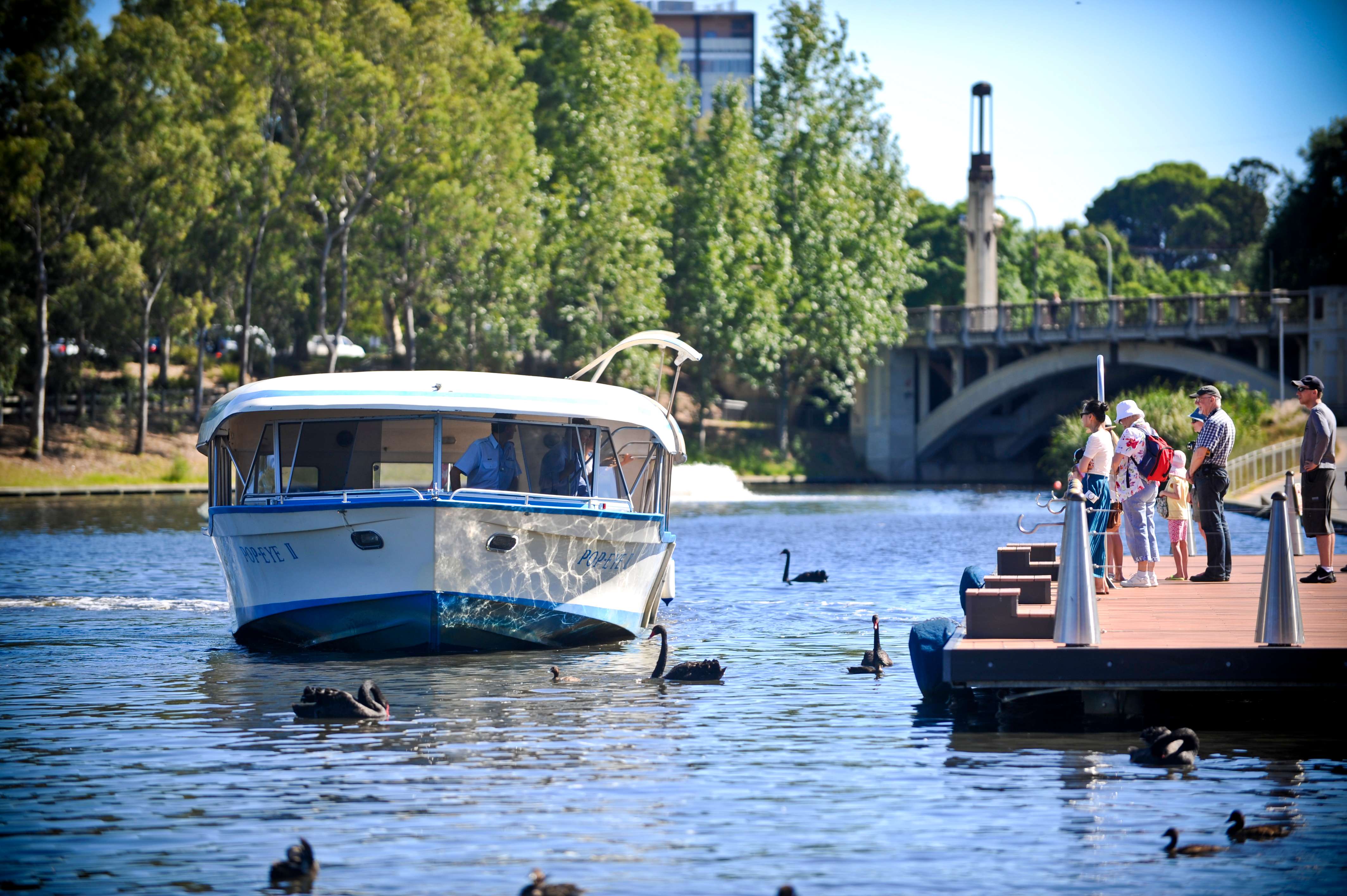 Adelaide, cruzeiro de chá no rio Torrens Popeye Devonshire - Hizvo