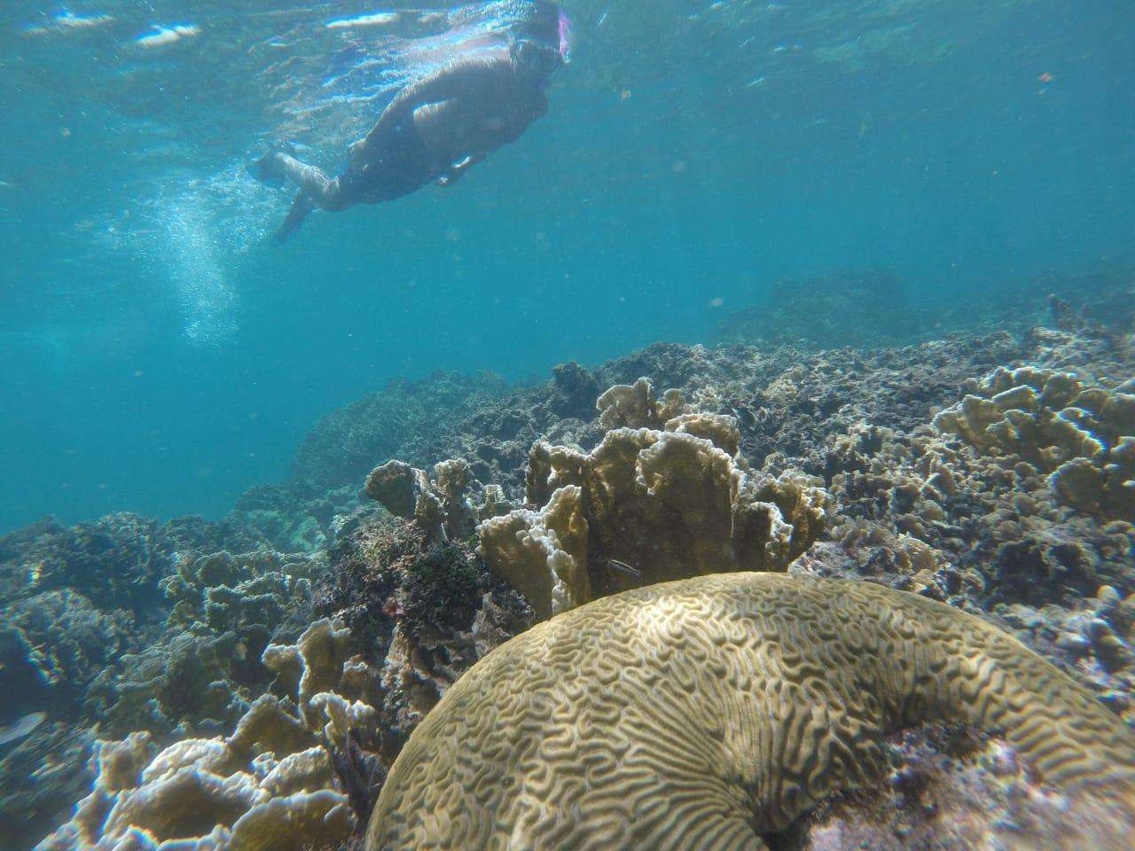 Tulum, privésnorkel- en zeilervaring - Hizvo