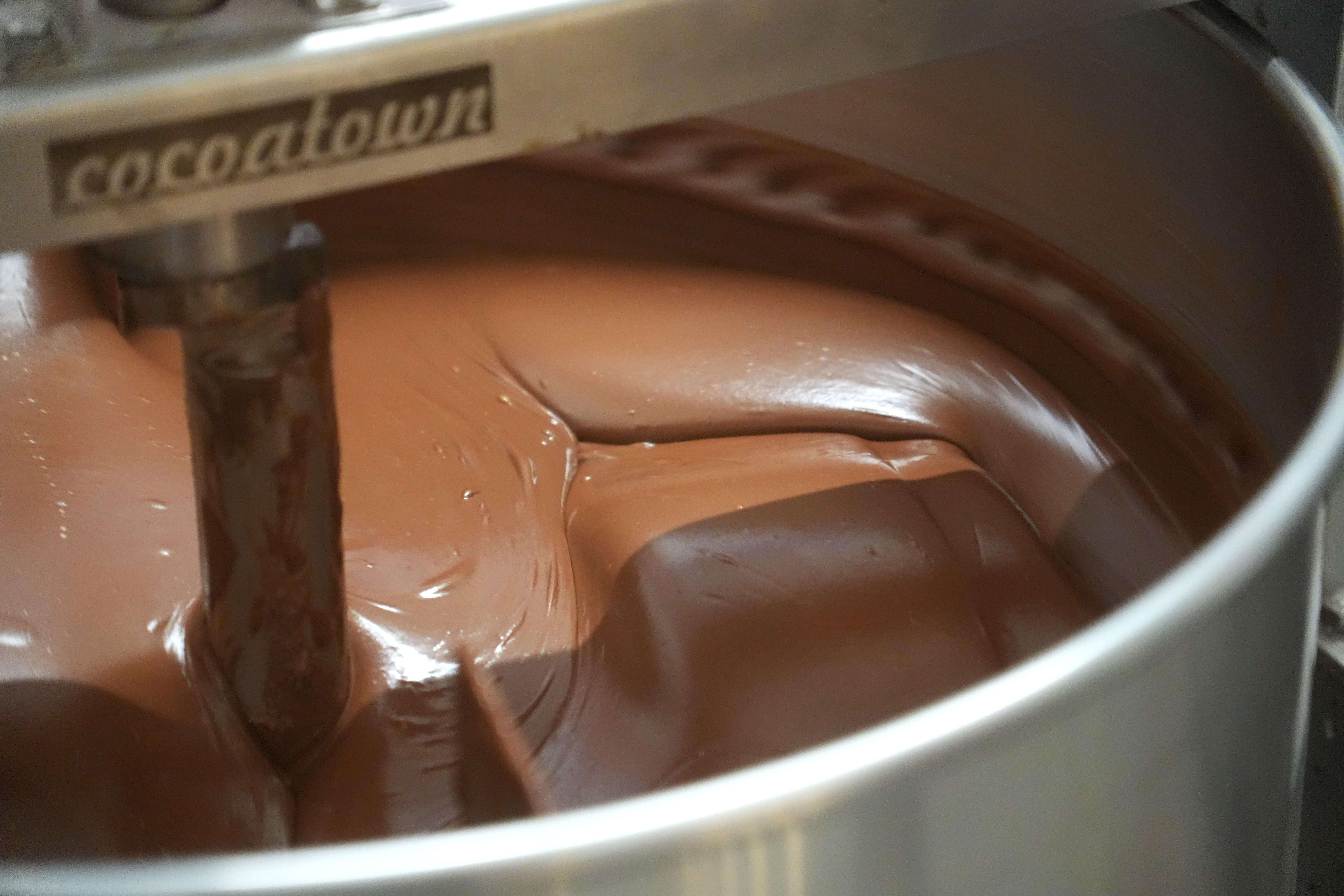 ウェリントンのチョコレートホリック ウォーキング オデッセイ - Hizvo