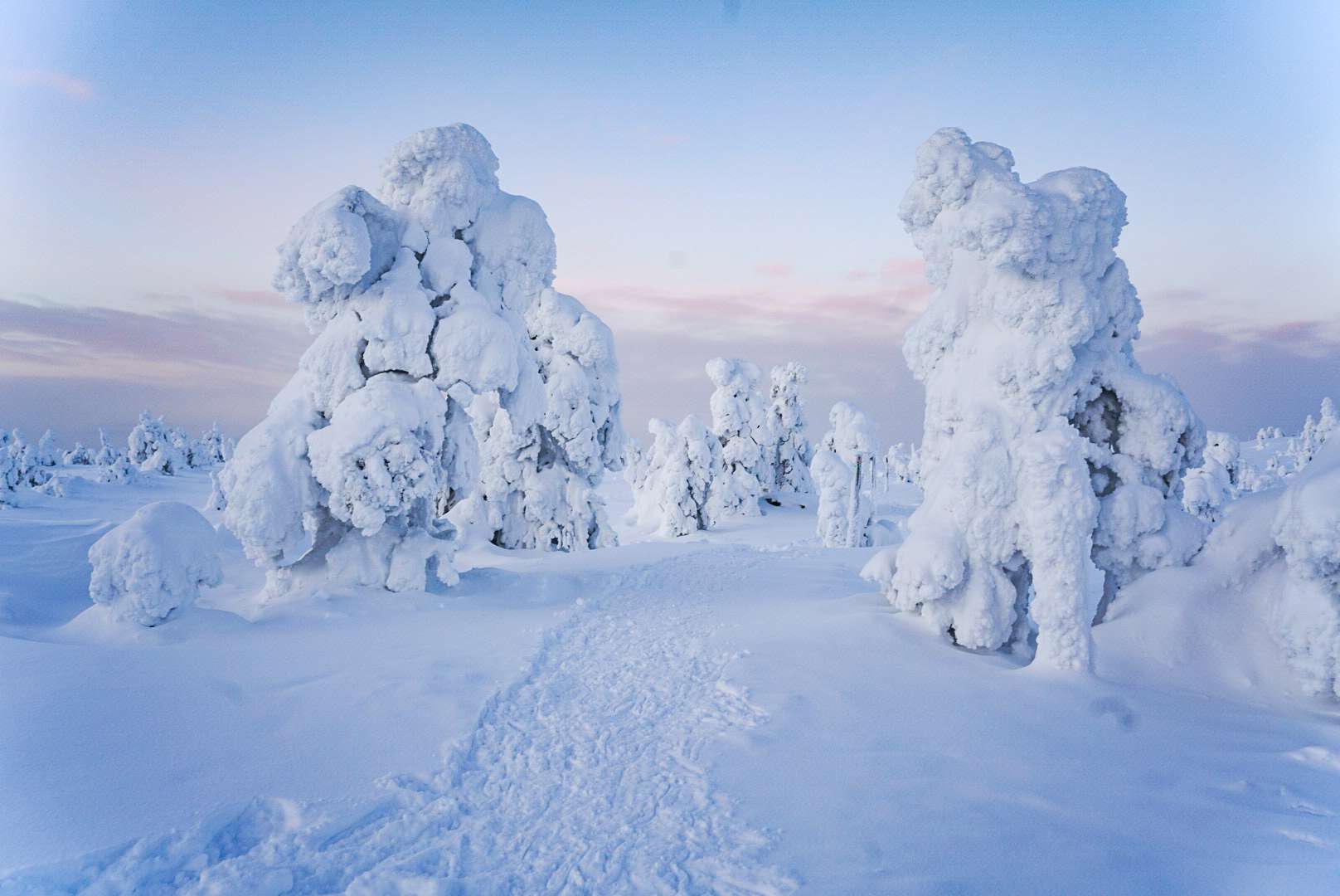 Rovaniemi, gita di un giorno al Parco Nazionale Riisitunturi con pranzo - Hizvo