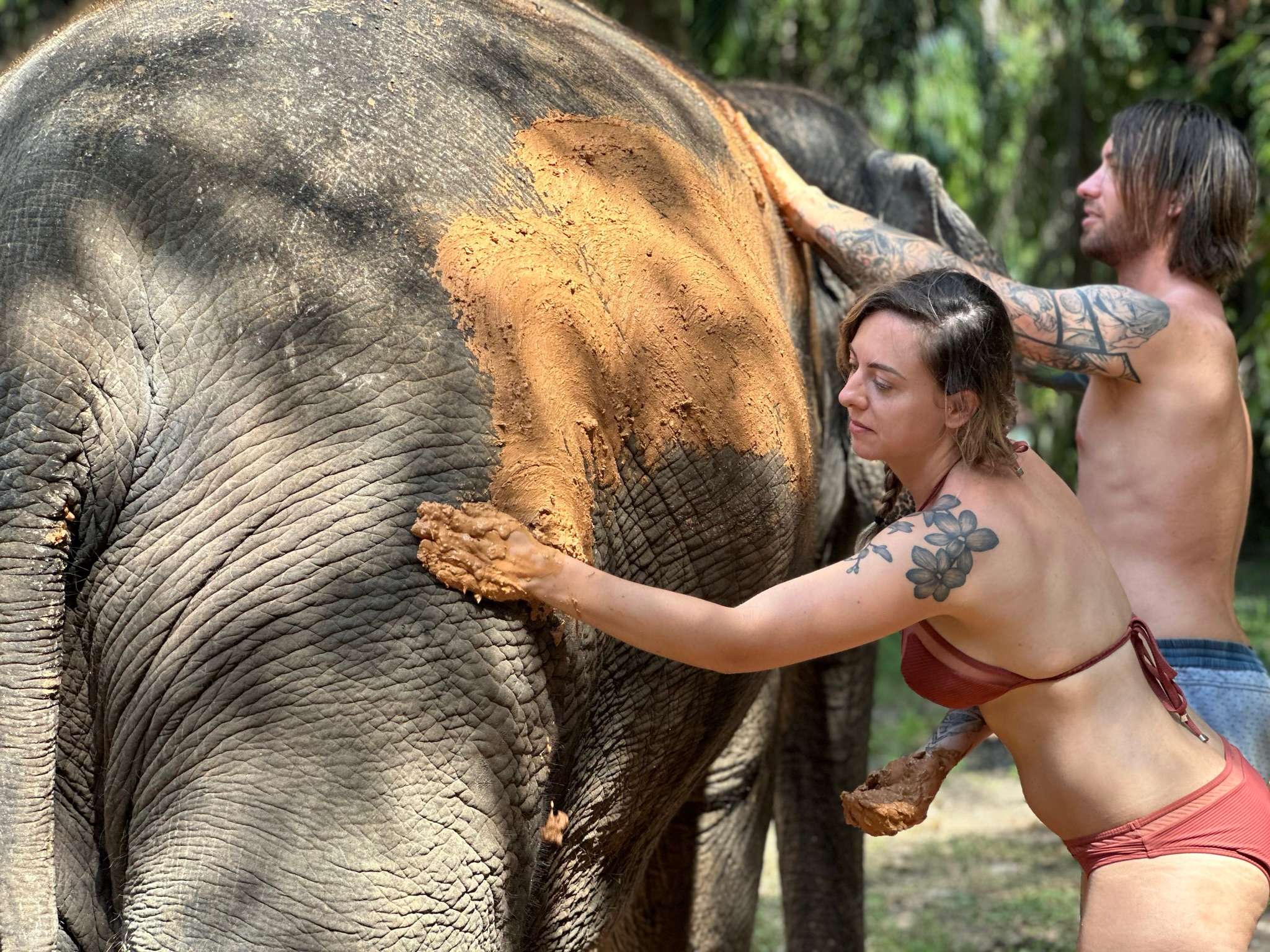 Krabi, excursão pelos destaques com o abrigo de elefantes de Krabi - Hizvo