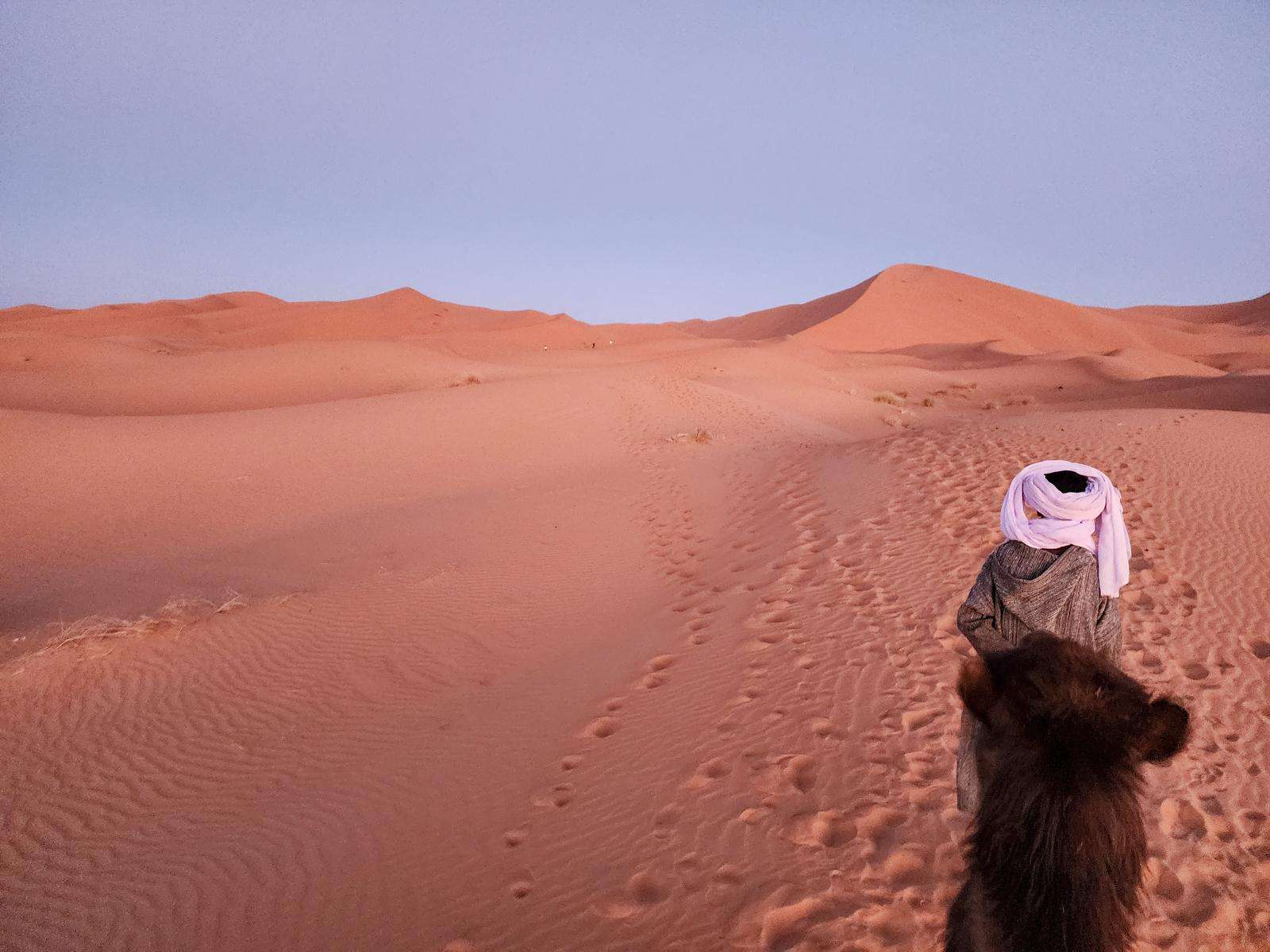 Majestic Desert, voyage de luxe de 3 jours de Marrakech à Fès - Hizvo