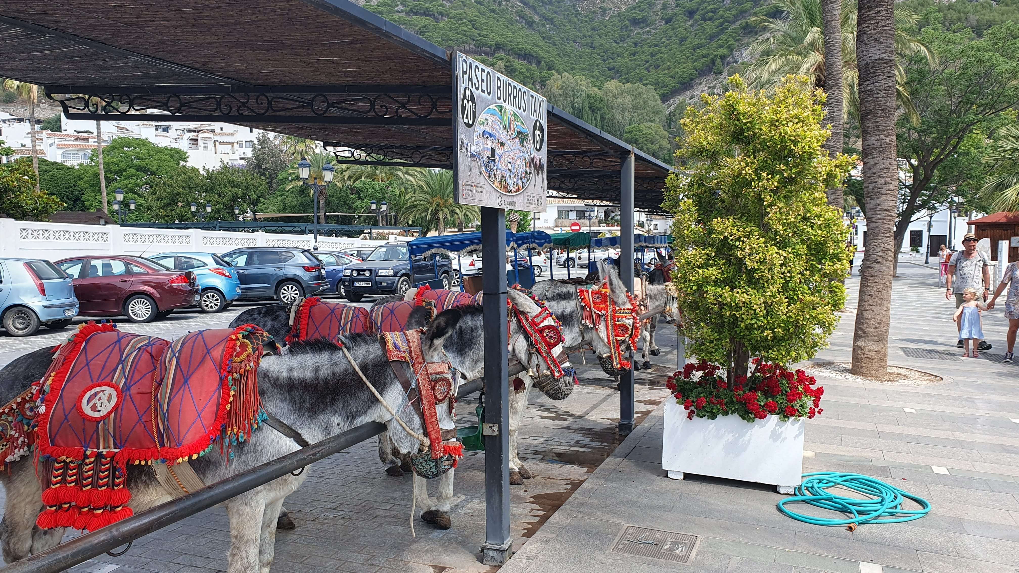 从马拉加、马贝拉、米哈斯和巴努斯港出发 - Hizvo