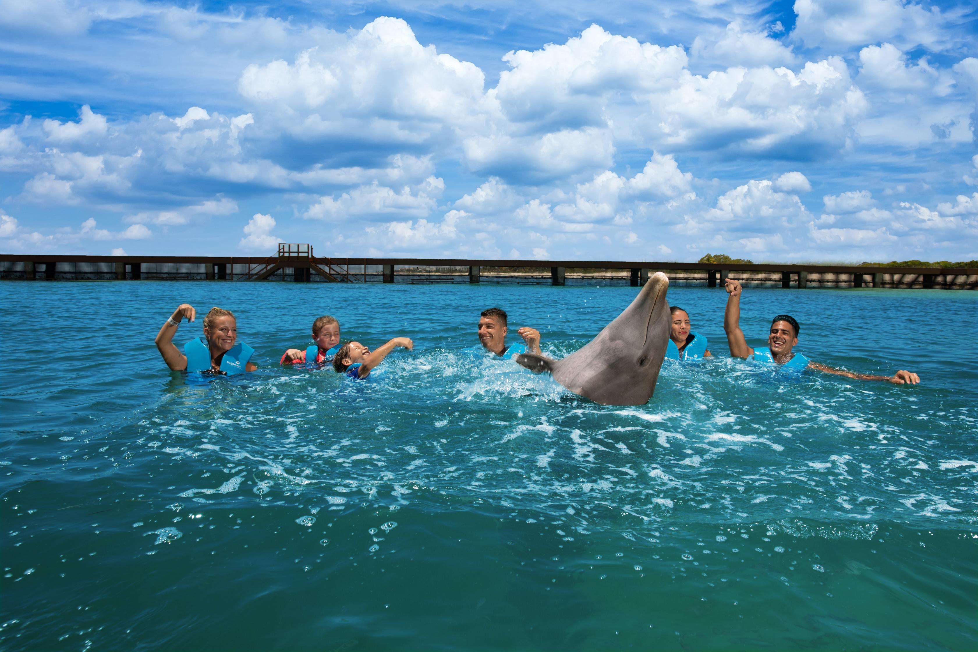 Costa Mujeres, nager avec les dauphins - Hizvo