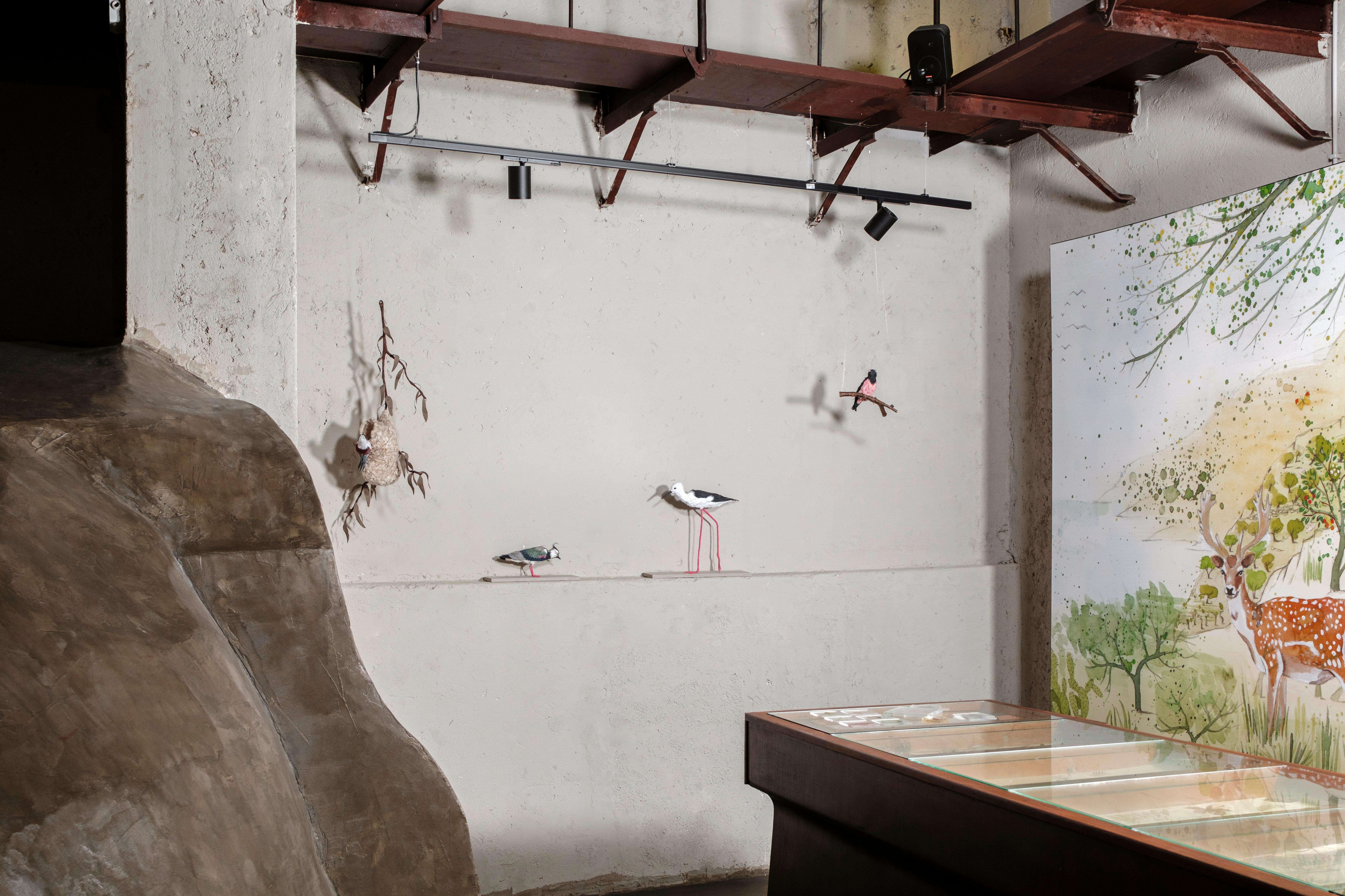 Palermo, sensorial experience of nature and ecology - Hizvo