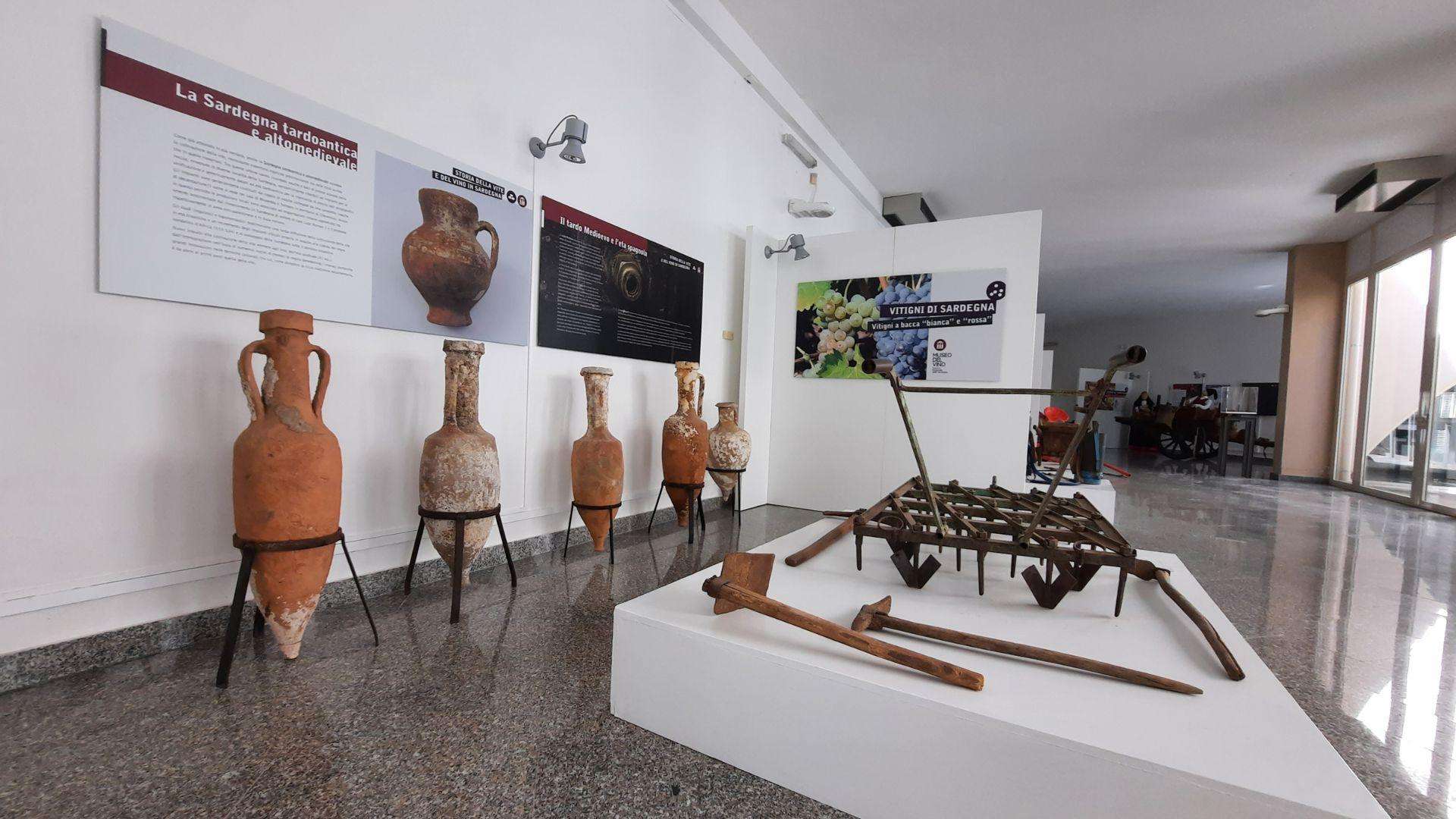 Berchidda, visite du musée du vin avec dégustation de vins - Hizvo