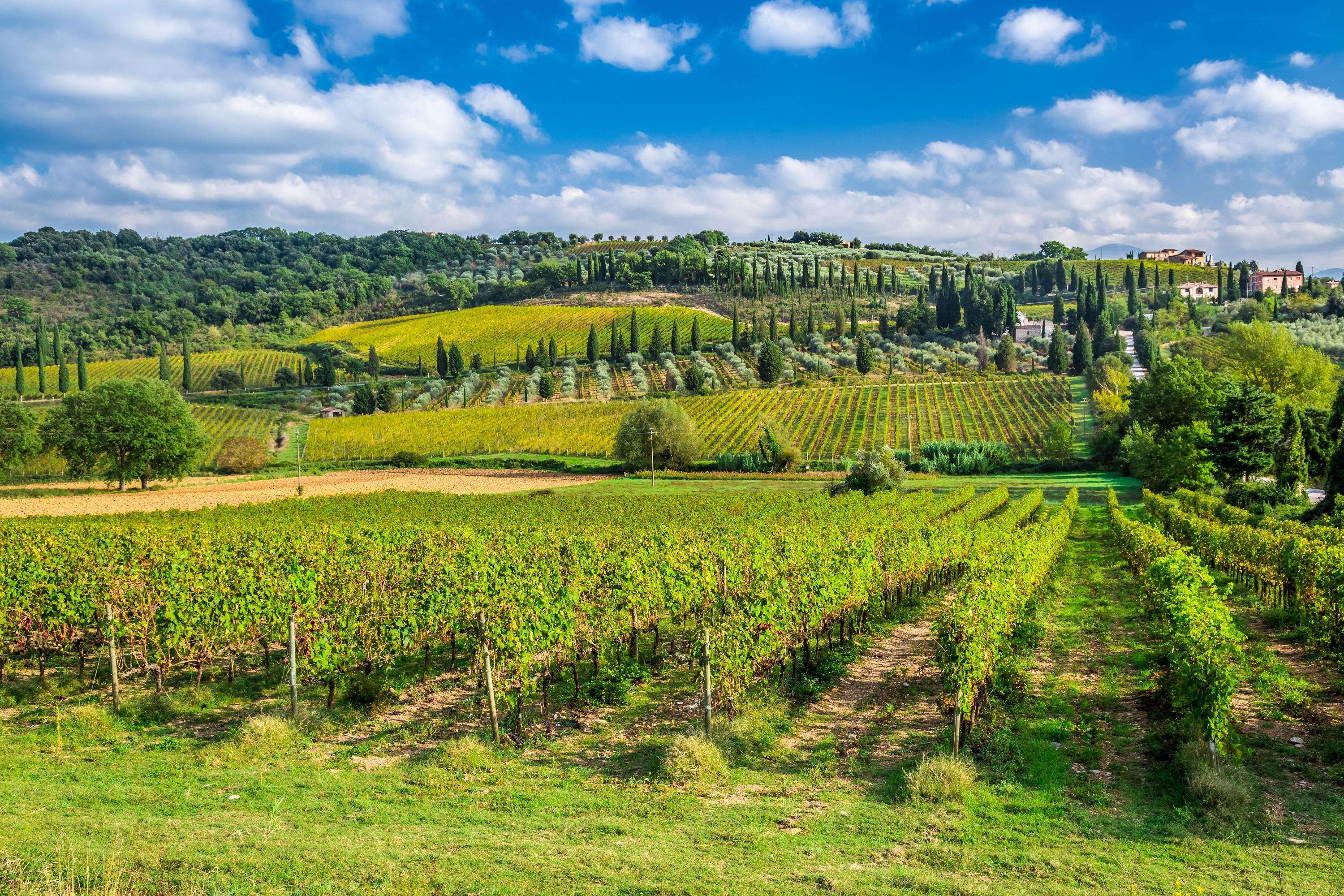 From Rome, Tuscany, Montepulciano Tour with Wine & Lunch - Hizvo