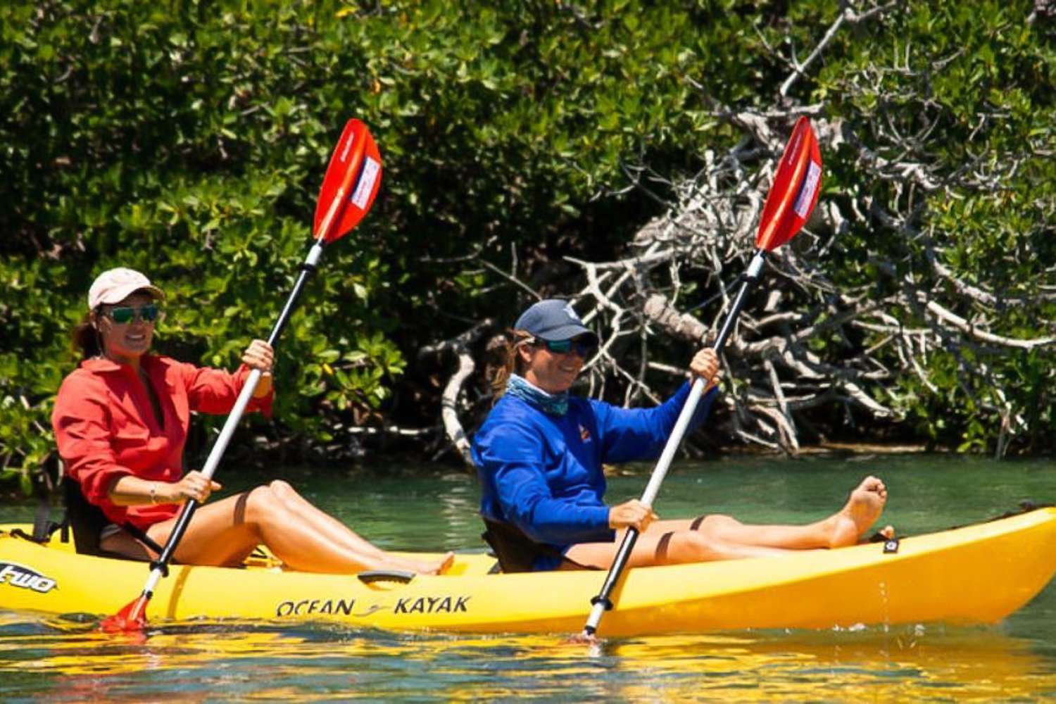 Key West, visite d'une journée complète de la réserve faunique nationale de Key West - Hizvo