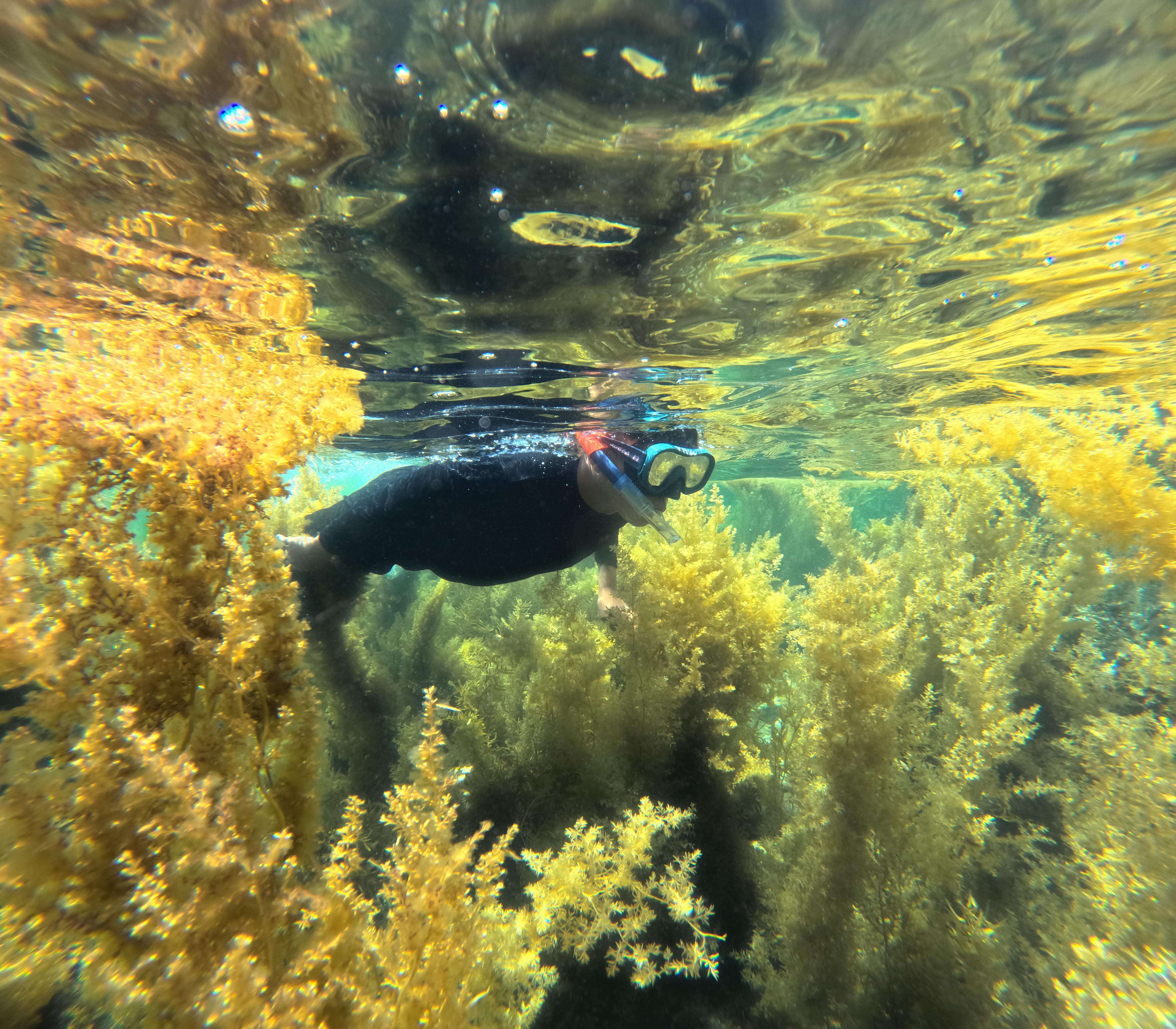 Mergulho com snorkel em Nha Trang, bar flutuante, banho de lama e almoço com churrasco - Hizvo