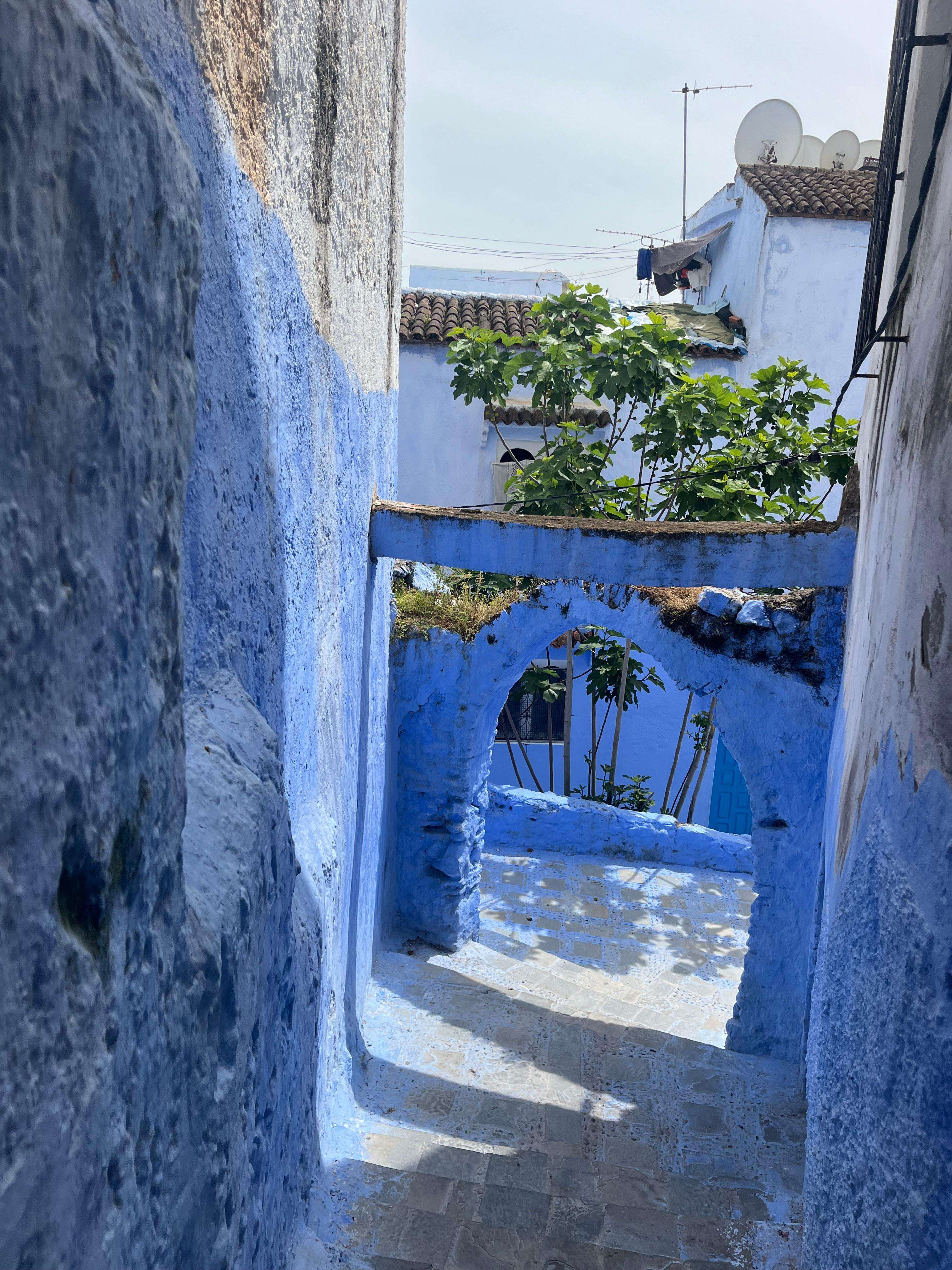 Chefchaouen la ville bleue et cascades d'akchour - Hizvo