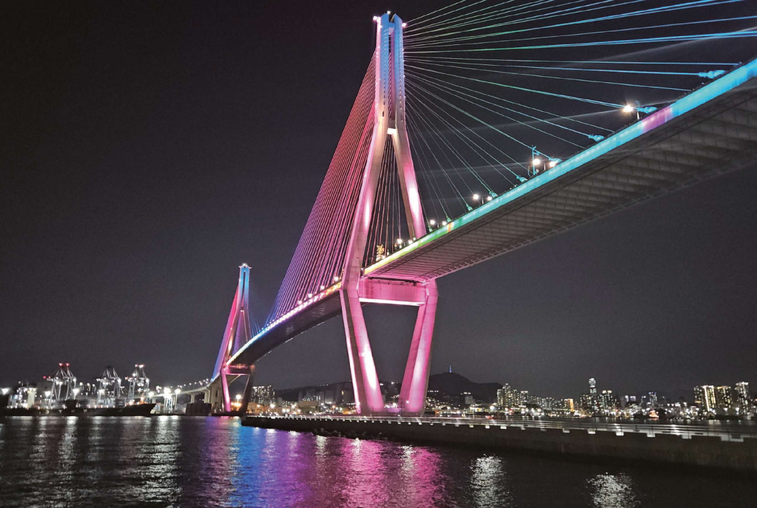 Busan, tour notturno con mercato Jagalchi e Skywalk - Hizvo