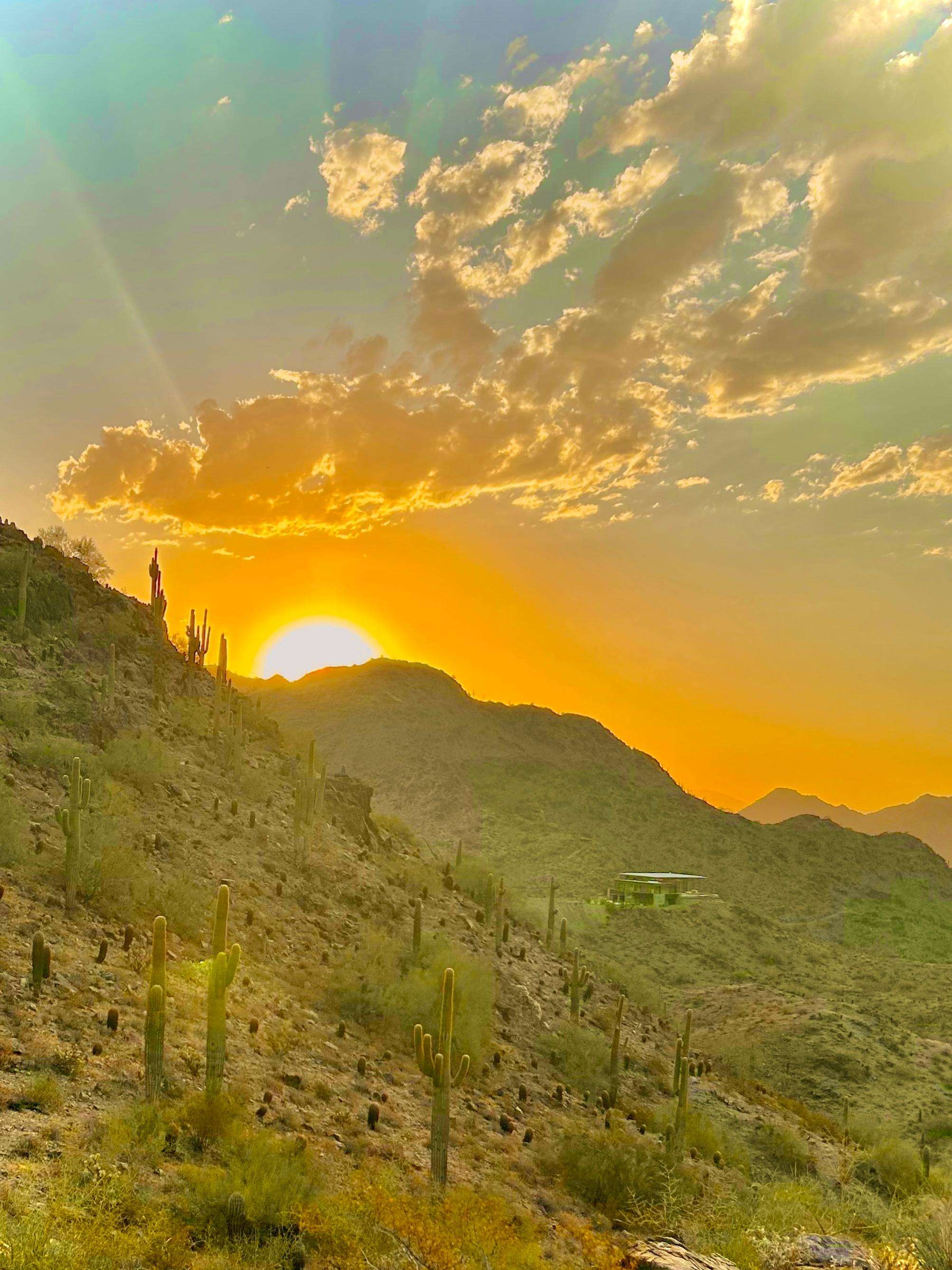 Phoenix, spektakuläre geführte Sonnenaufgangswanderung |  Wunderschöne Aussicht! - Hizvo