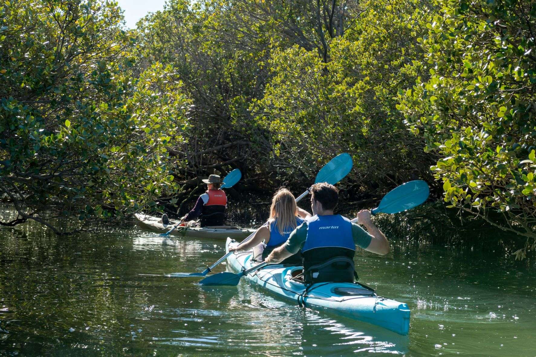 Adelaide, passeio de caiaque ecológico no santuário dos golfinhos - Hizvo