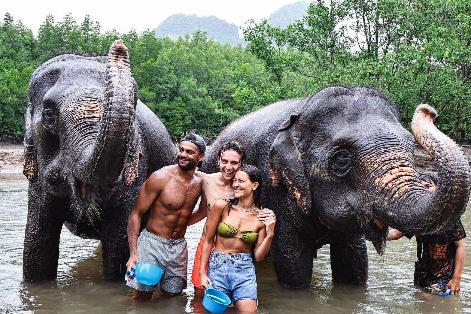 Krabi, excursão pelos destaques com o abrigo de elefantes de Krabi - Hizvo