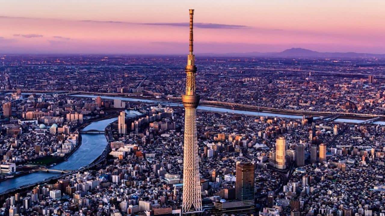東京、ホテル送迎付きプライベート ガイド ツアー - Hizvo