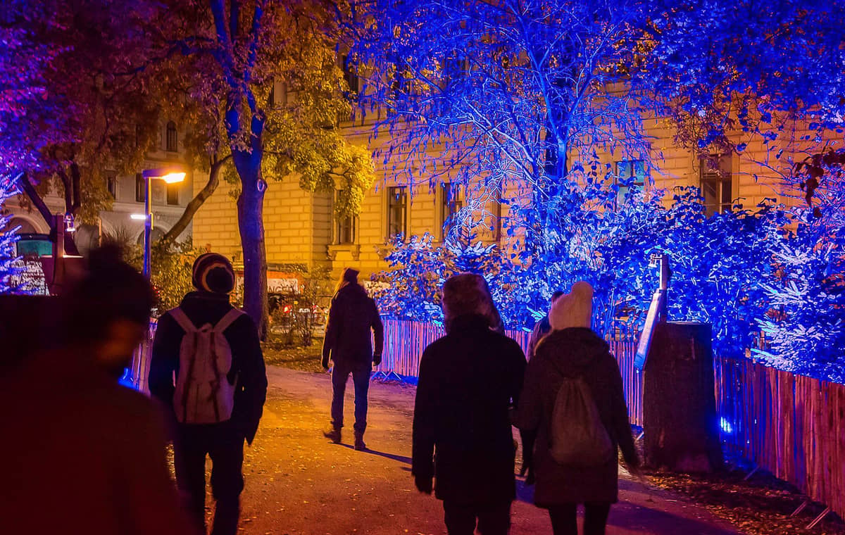 Trees lit in blue