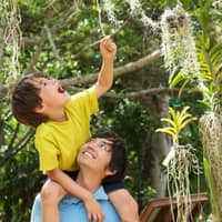 McBryde Garden Self-Guided Visit