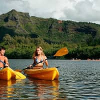 Wailua Waterfall and River Kayak Adventure with Lunch
