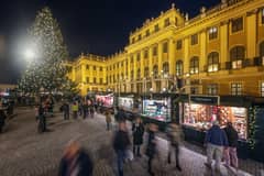 Schönbrunn market at night