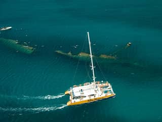 Catamaran Snorkeling Adventure, Aruba