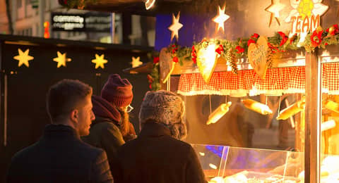 Vienna Christmas market tours